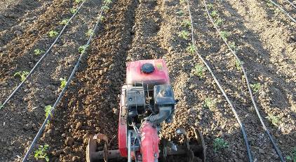 La Campagna santagatese Ph Luigi DAquino