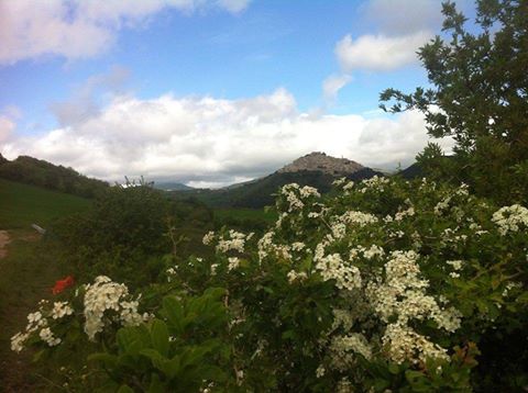 Sant'Agata di Puglia 