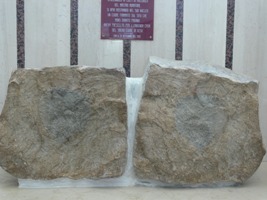 La Pietra con il Cuore