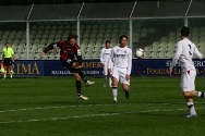 Ceccarelli