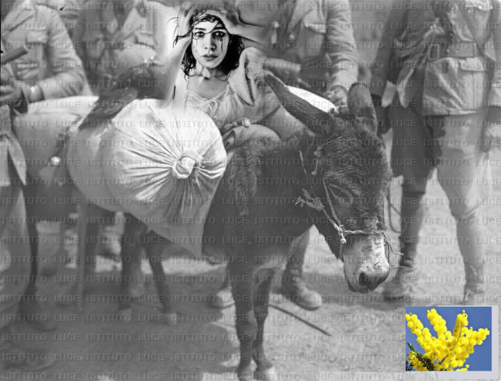 La foto non appartiene all'evento, � stata prelevata dal web